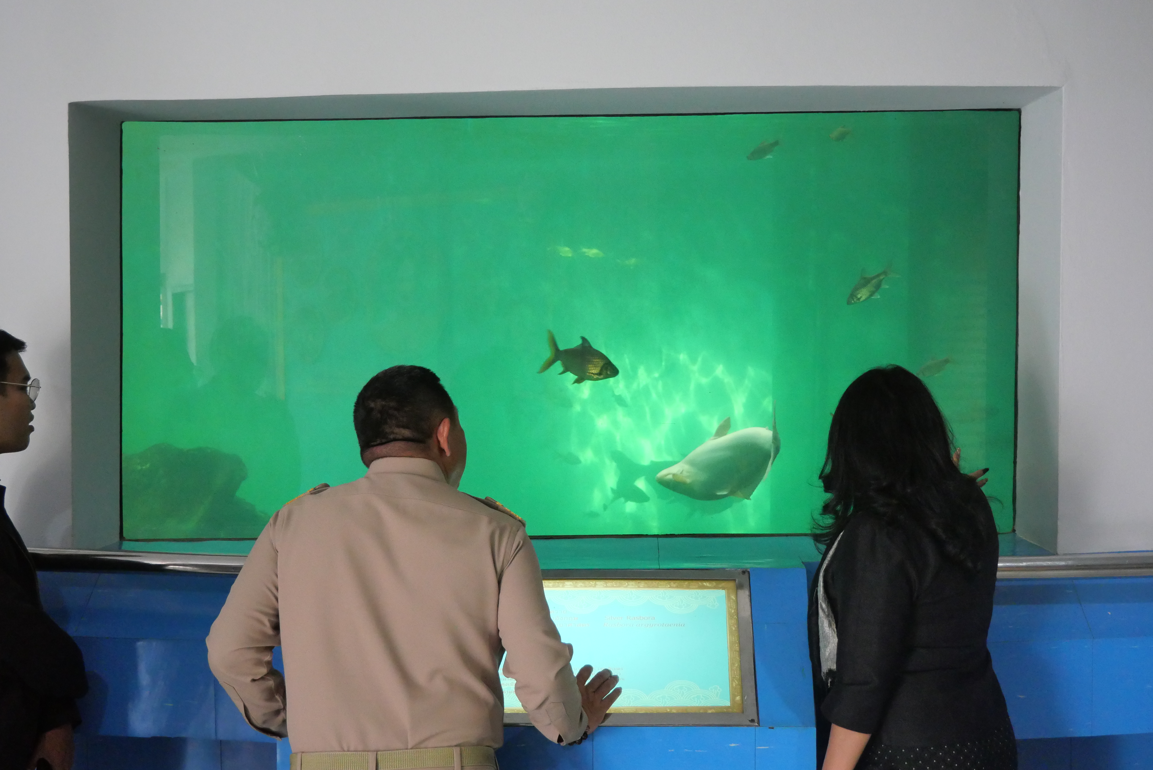 title - เลขาธิการ ส.ป.ก. บันทึกเทปให้สัมภาษณ์ภาพยนตร์สารคดีชุด “สืบสาน สร้างสุข ปวงประชา” และตรวจติดตามการดำเนินงานในพื้นที่เขตปฏิรูปที่ดิน ณ จังหวัดพระนครศรีอยุธยา